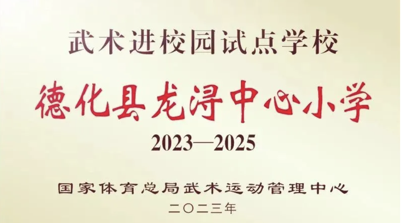 厉害了!德化县龙浔中心小学获全国少儿武术锦标赛26个奖项