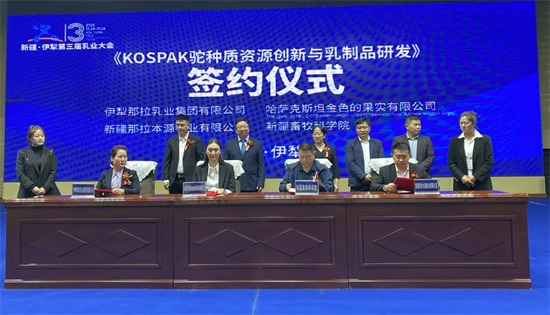 图片16.png
