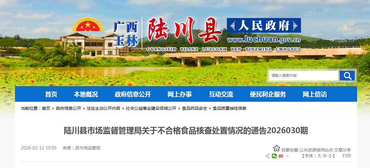 陆川县市场监督管理局关于不合格食品核查处置情况的通告2026030期