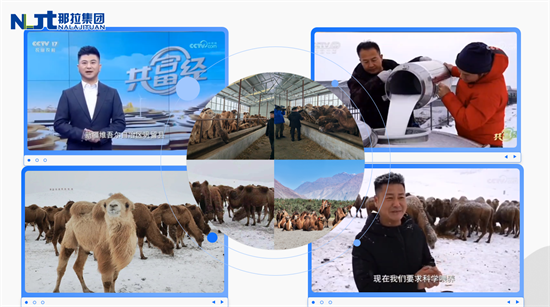 图片12.png
