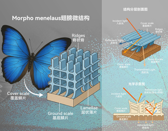 1777339889606043.png 图片1.png