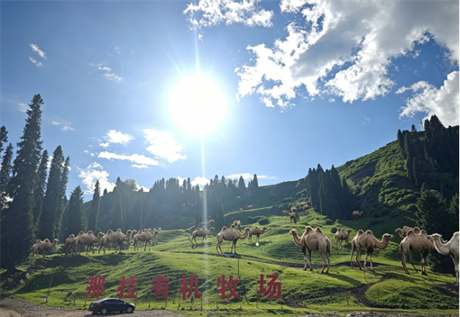 1776664664310411.png 图片11.png