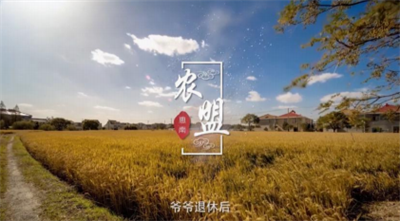 借AI浪潮破局 以小微之躯垂直赋能产业彰显“大价值”——河北顿号文化传媒的AI转型之路