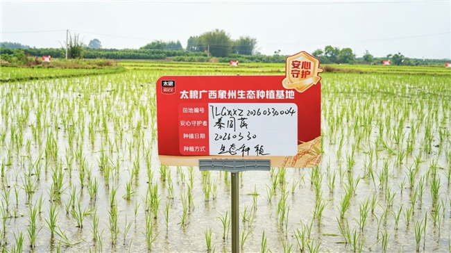 太粮二十六载深耕全产业链,筑牢餐桌安全防线