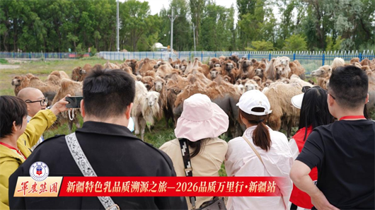 图片3.png