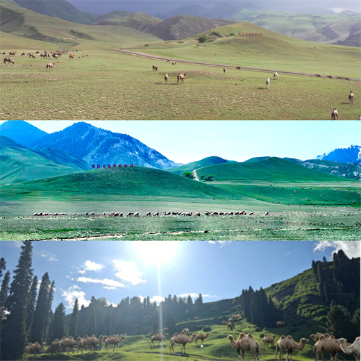 图片3.png