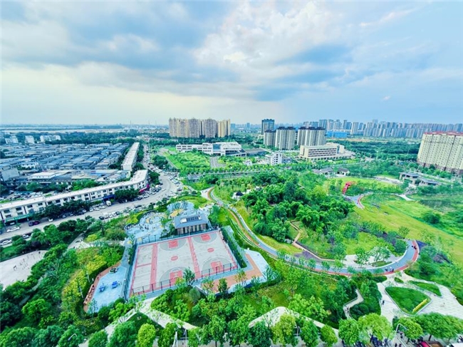 幸福就近可达,公兴场镇公园开放,在家门口邂逅绿意