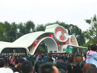 日均3万人次看熊猫 “网红景区”“人从众”