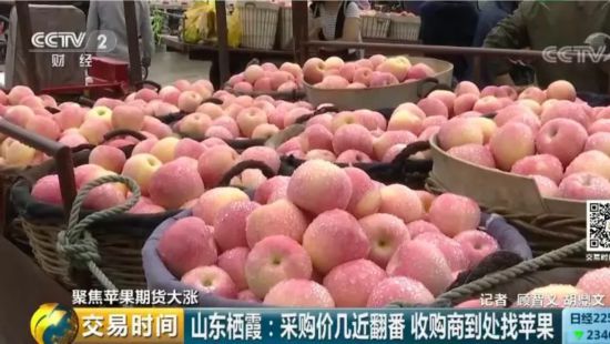 苹果“红”了!采购价几近翻番 收购商到处找苹果 期货价格居高不下