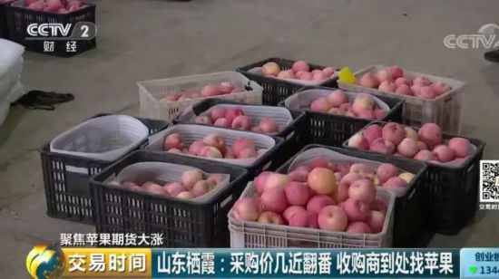 苹果“红”了!采购价几近翻番 收购商到处找苹果 期货价格居高不下