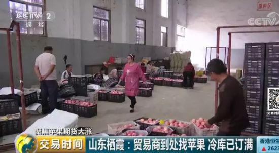 苹果“红”了!采购价几近翻番 收购商到处找苹果 期货价格居高不下
