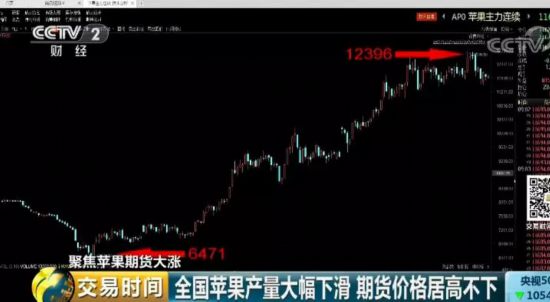 苹果“红”了!采购价几近翻番 收购商到处找苹果 期货价格居高不下