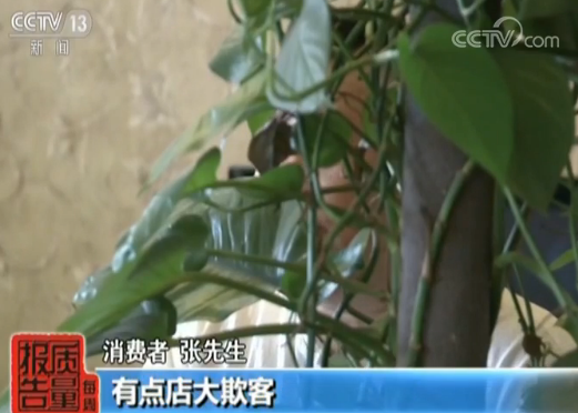 去哪儿网预定订房入住一波三折 消费者维权 官网回复:消费者泄露渠道 三天房只能退一天