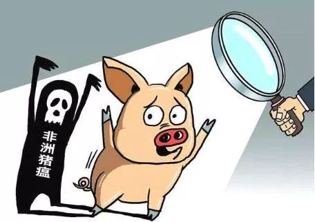 农村农业部:湖南江西吉林同一天各排查出一起非洲猪瘟