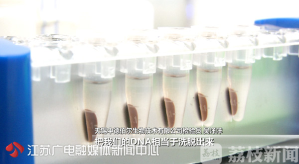 羊肉串可能不是真羊肉? 网红店羊肉串甚至查出不明物质