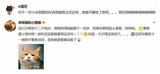 剁手党的双12：商家不变套路不变 仍然无力说不