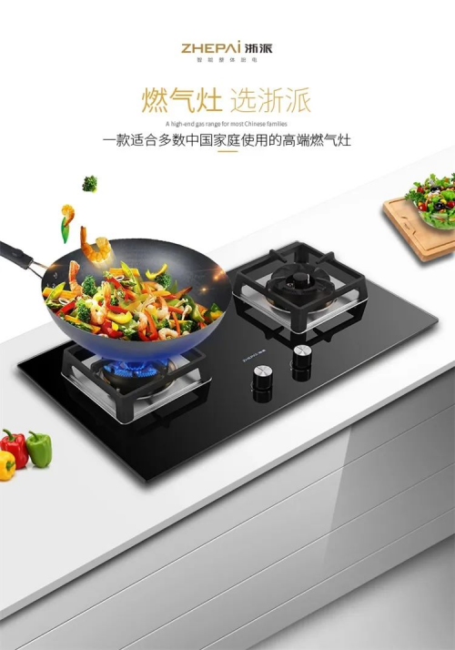 中国厨电看浙江,好厨电选浙派