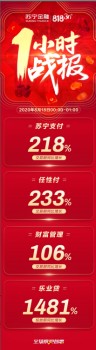 苏宁金融818一小时战报出炉 任性付交易额同比增长233%
