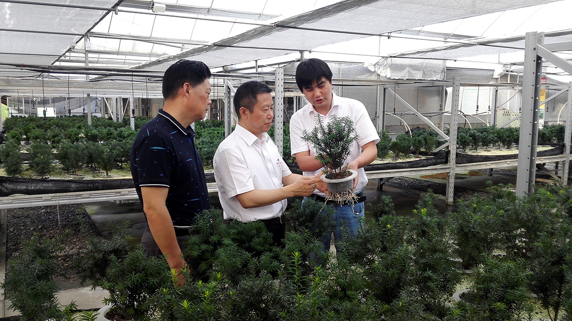 红豆集团周海江参与大型纪录片拍摄