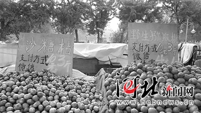 二维码改变庄里人消费习惯 路边摊都能手机付款了