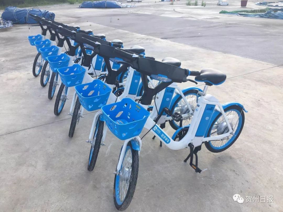 哈罗,摩拜开启共享助力车市场,大战升级