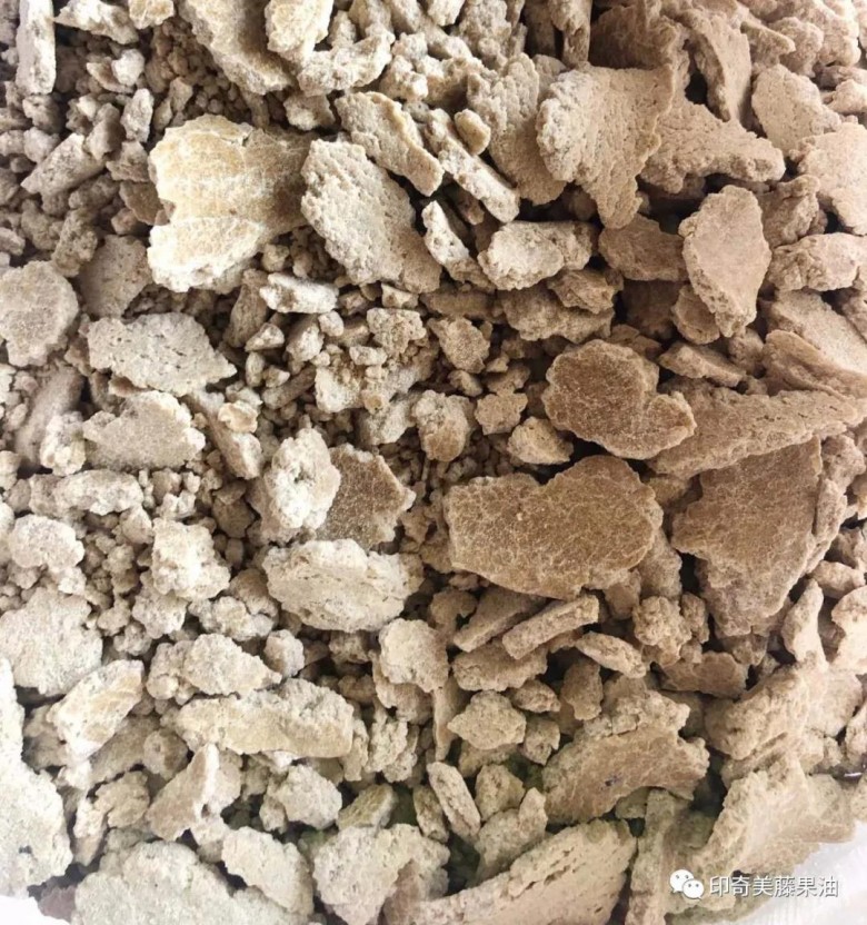 印奇美藤果油及美藤果副产物(饼粕蛋白粉)具有丰 富的营养价值及经济效益