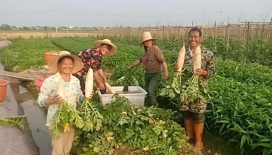 江西7地入选国家试点,农村集体产权制度改革发展集体经济