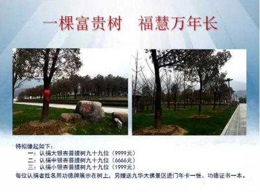 公益电影《因果启示录》全球推广全面启动