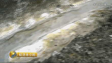 中化集团涪陵造污严重 附近村庄活在恐惧中