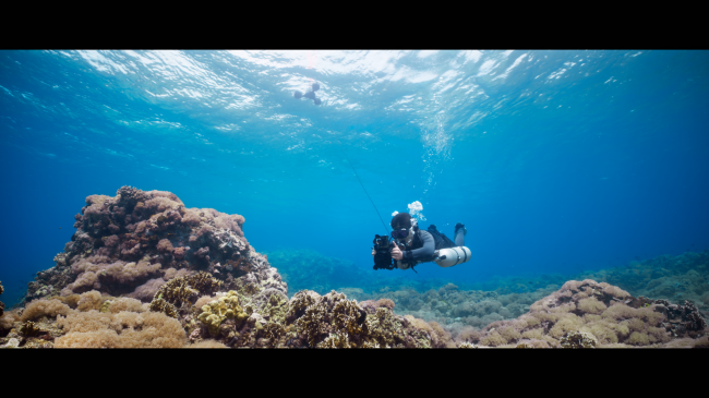 DIVEVOLK SeaLink 把马尔代夫古雷杜的海底实时带进抖音直播间